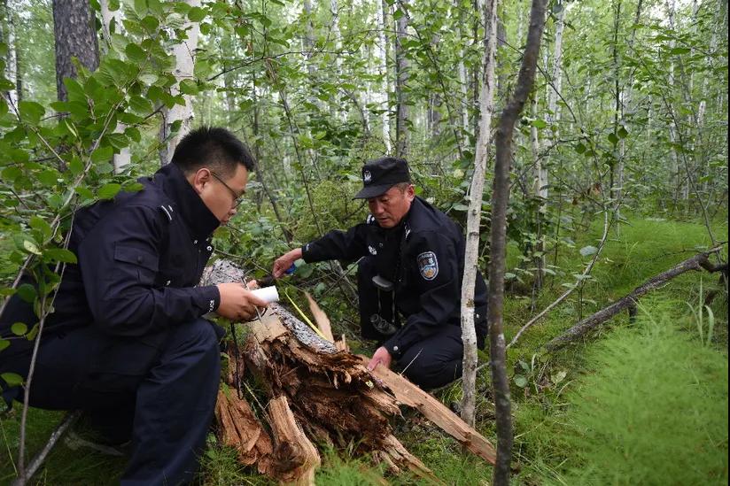 林海巡护